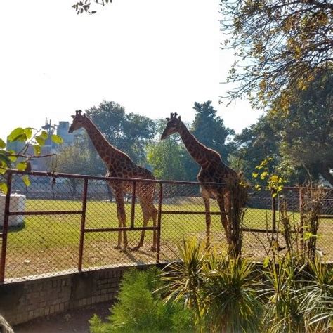 Lahore Zoo Visit Lahore