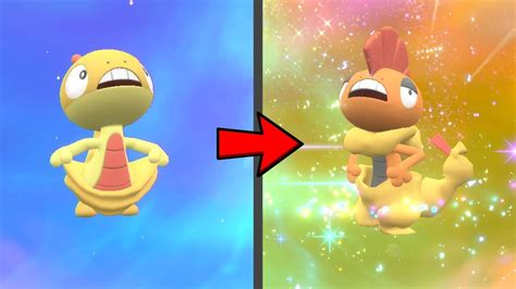 How To Evolve Scraggy Into Scrafty In Pokemon Scarlet And Violet Dlc