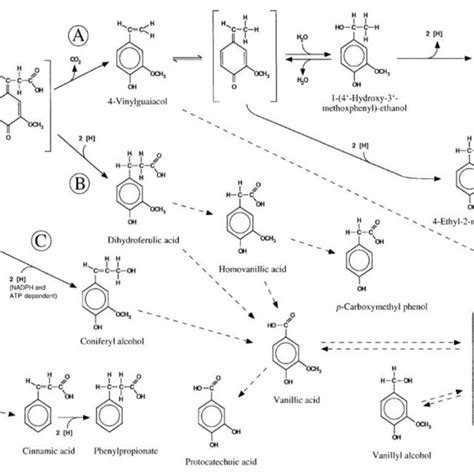 Monosodium Glutamate (MSG) Production Process Flowsheet (Flow Chart ...