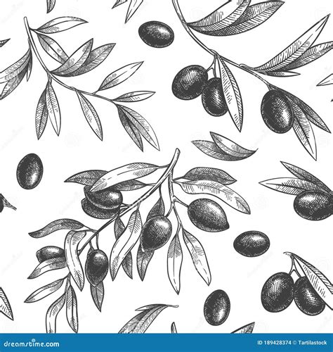 Seamless Black Olive Pattern Greek Olives On Branches With Leaves