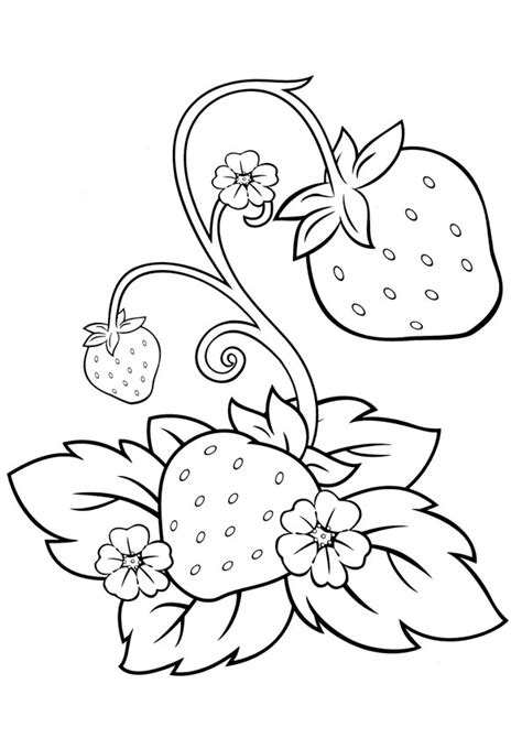 Coloring Pages | Strawberry Plant Coloring Page for kids