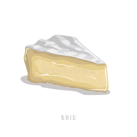 Piece Of Brie Cheese Cartoon Flat Style Cheese Segment Fresh Dairy