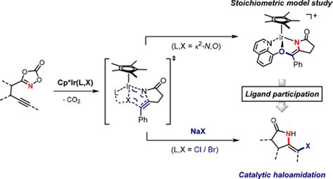 通过配体参与实现的 Iriii 催化炔烃立体选择性卤代酰胺化journal Of The American Chemical