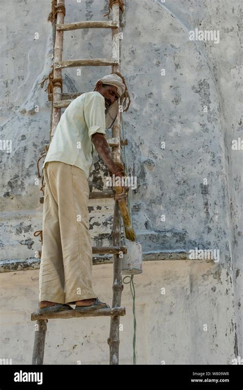 Homme en train de peindre Banque de photographies et dimages à haute