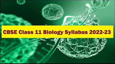 Cbse Class 11 Biology Syllabus 2022 2023 New Download Theory