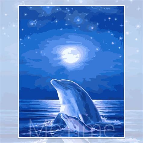 Moonlight Dolphin Metime Art