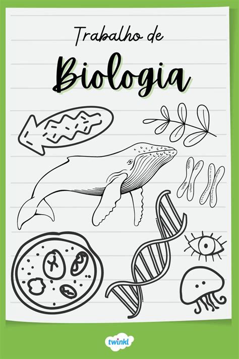 Capa De Trabalho De Biologia Capa Do Caderno De Ci Ncias Capas De