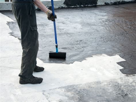 Protege Tu Casa Contra Humedad Goteras E Inundaciones Tips