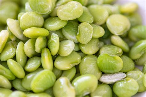 Fresh Butter Beans Stock Image C0500855 Science Photo Library