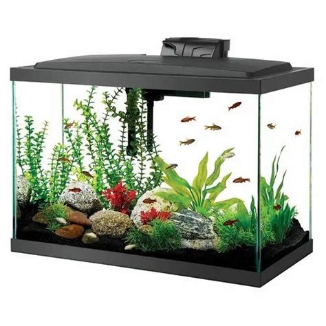 Transparent Glass Aquarium Fish Tanks Packaging Type Box At Best