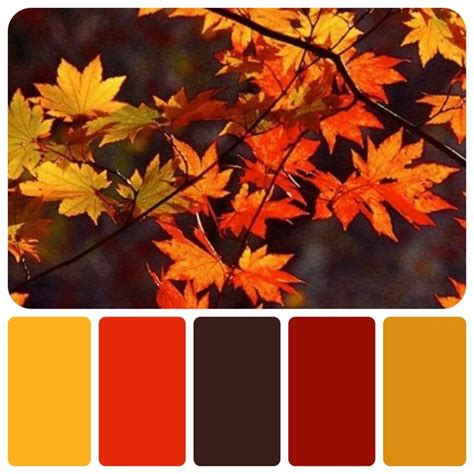 I Made a Autumn Themed Color Palette! in 2023 | Color palette, Colour ...