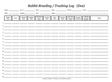 Rabbit Breeding Chart Template - Card Template