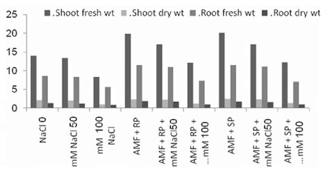 Fresh And Dry Weights Of Each Of Root And Shoot Of Vicia Faba Plant