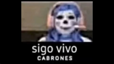 Sigo Vivo Cabrones Se Van A Morir Cabrones Video Gallery Know Your