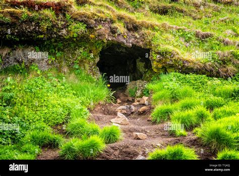 Seljalandsfoss Iceland Cave Entrance In Green Mossy Summer Rocky