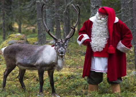 Santa Claus and reindeer in autumn in Santa Claus Village in Rovaniemi ...