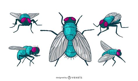 Fly Vector And Graphics To Download