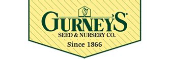 American Hazelnut Tree Gurney S Seed Nursery Co