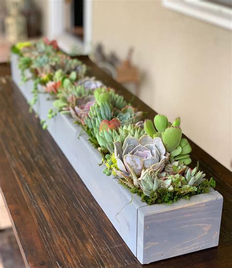 Mega Variety Succulent Arrangement In Handcrafted Wood Box Etsy