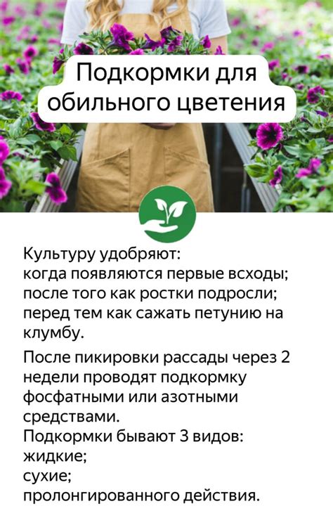 Подкормка для петунии | Петунии, Растения, Огород