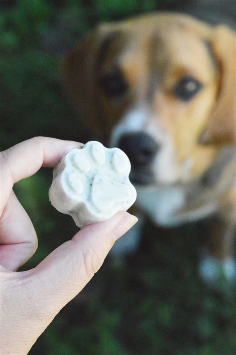 Are Frozen Treats Bad For Dogs