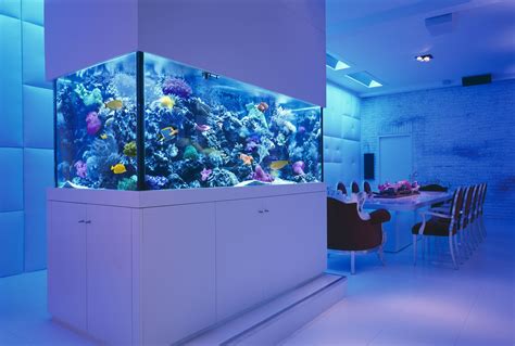 Luxury Apartment With Giant Aquarium Hồ Cá Nước Mặn Bể Cá Phong Thủy