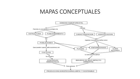 Mapas Conceptuales Ppt