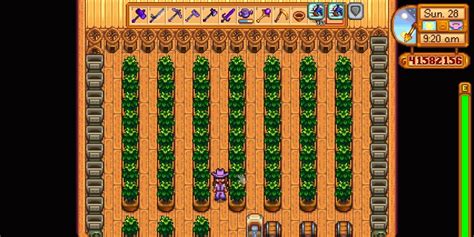 How To Make Green Tea And Pickled Tea Leaves In Stardew Valley