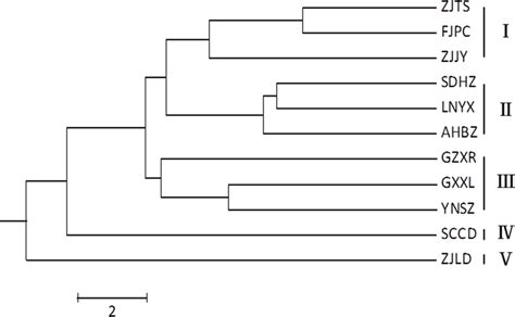 Upgma Dendrogram Illustrating The Genetic Relationships Among Jobs