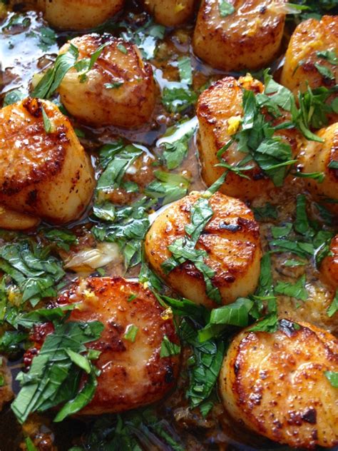 Garlic Scallops Recipe