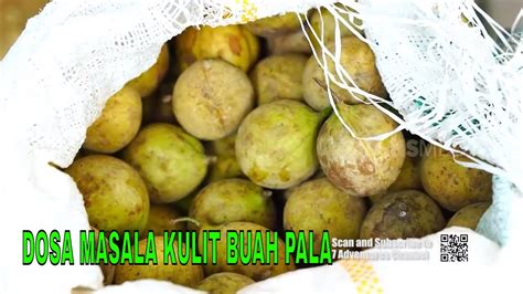 DOSA MASALA KULIT BUAH PALA JEJAK SI GUNDUL 11 09 23 YouTube