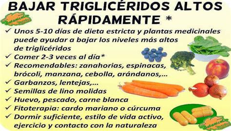 Bajar Triglic Ridos De Forma R Pida Trucos Y Consejos