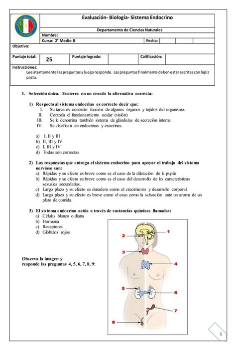 Prueba Ii Medio Sistema Endocrino Pdf