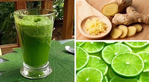 Esse Suco Detox Nutre E Ajuda A Emagrecer De Forma Saudável E Natural