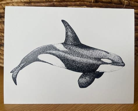 Orca Whale Pencil Drawing