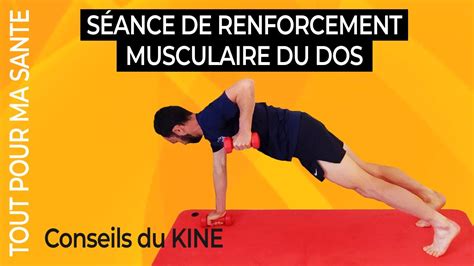 9 Exercices De Renforcement Musculaire Du Dos YouTube