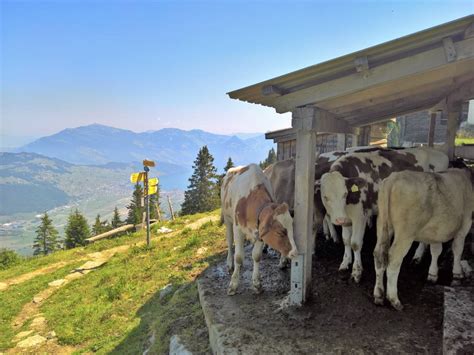 Wanderung Stans Stanserhorn