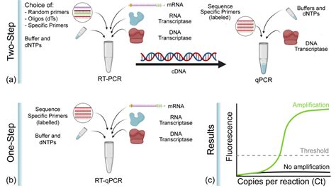 The Difference Between Pcr Qpcr Rt Pcr Rt Qpcr Real Time Pcr Aivd