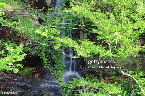 Lake Catherine (Arkansas) Photos and Premium High Res Pictures - Getty Images