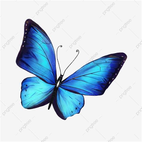 Colorida Mariposa Acuarela Azul PNG dibujos Imágenes Prediseñadas De