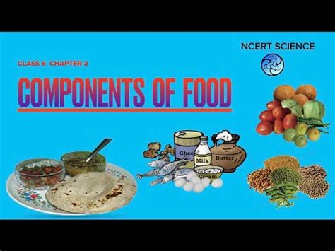 Class 6 Science Chapter 2 Components of Food अब NCERT क पढन नह