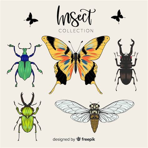 Free Vector Realistic Insect Collection