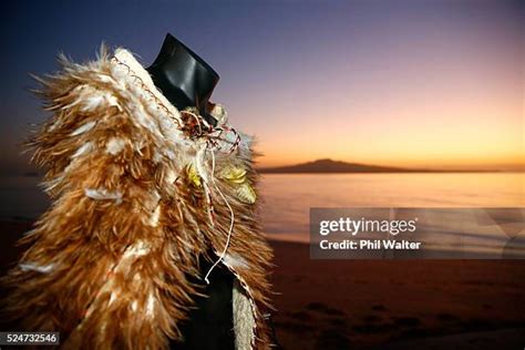 Maori Cloak Photos and Premium High Res Pictures - Getty Images