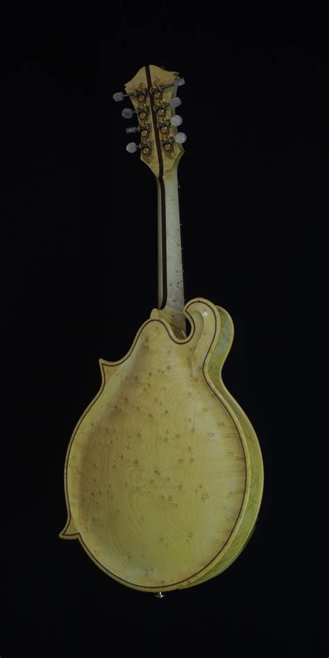 Mandolin Ff Thijs Van Der Harst