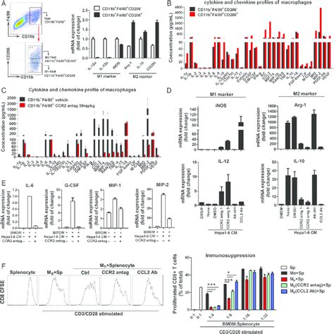 Blockade Of CCL2 CCR2 Abolishes The Crosstalk Between Tumour Cells And