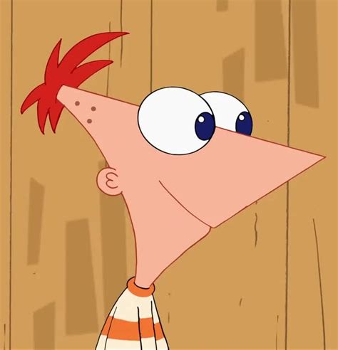 Phineas Flynn Phineas And Ferb Wiki Fandom