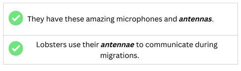 What S The Plural Of Antenna Antennae Or Antennas