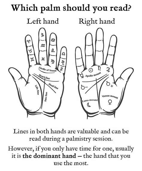 Palm Reading Guide How To Read Your Own Palm Artofit