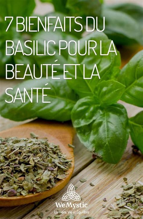 Bienfaits Du Basilic Pour La Beaut Et La Sant Wemystic France