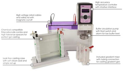 Denaturing Gradient Gel Electrophoresis Cleaver Scientific